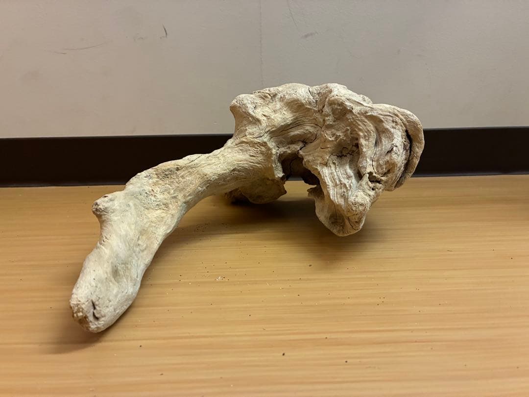 一点物 流木オブジェ|爬虫類・魚｜高さ約75cm Y字型｜大型インテリア