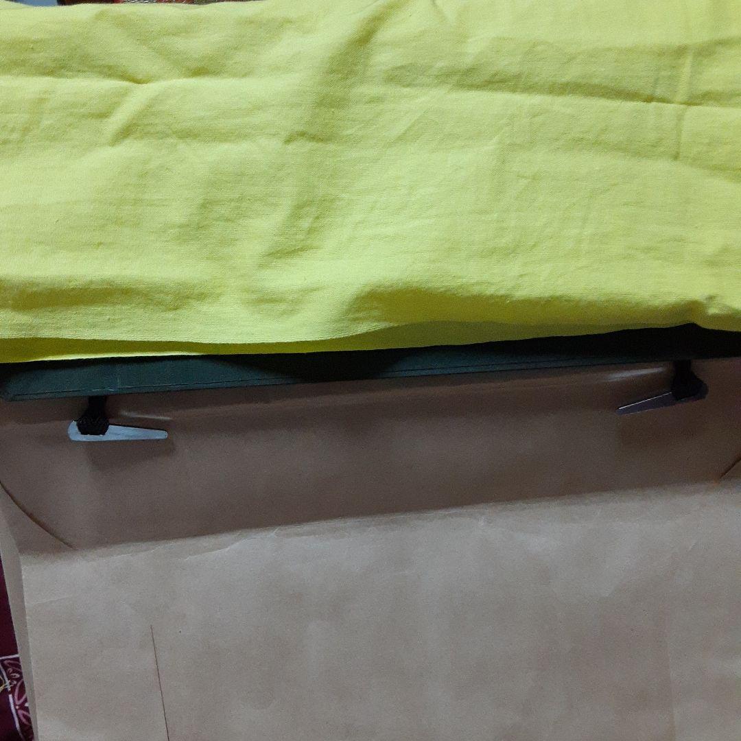 日本画　早春の朝