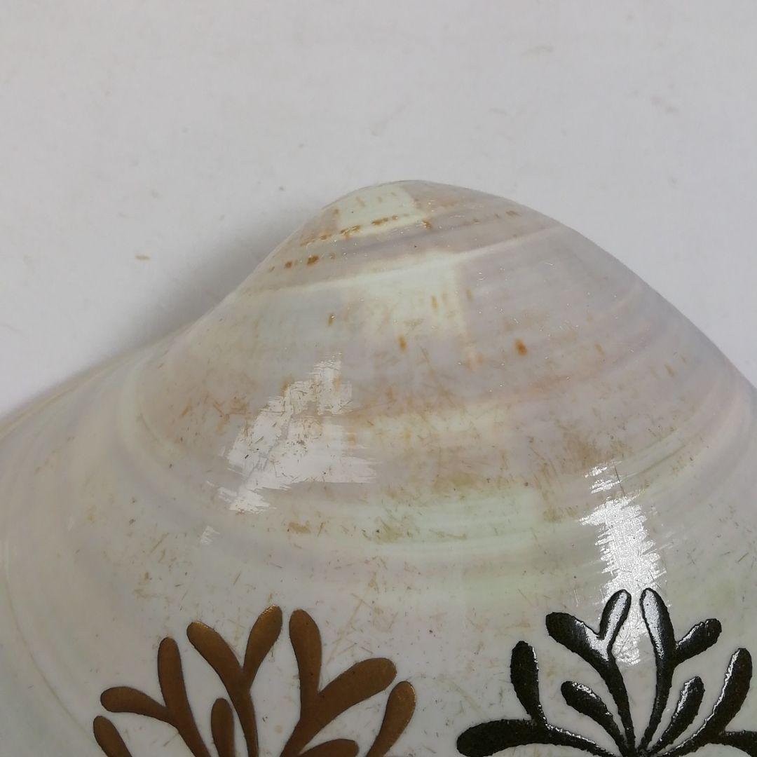 Ｔ７４７　香合　『海松絵　蛤香合』『伊藤表正』　共箱　茶道具