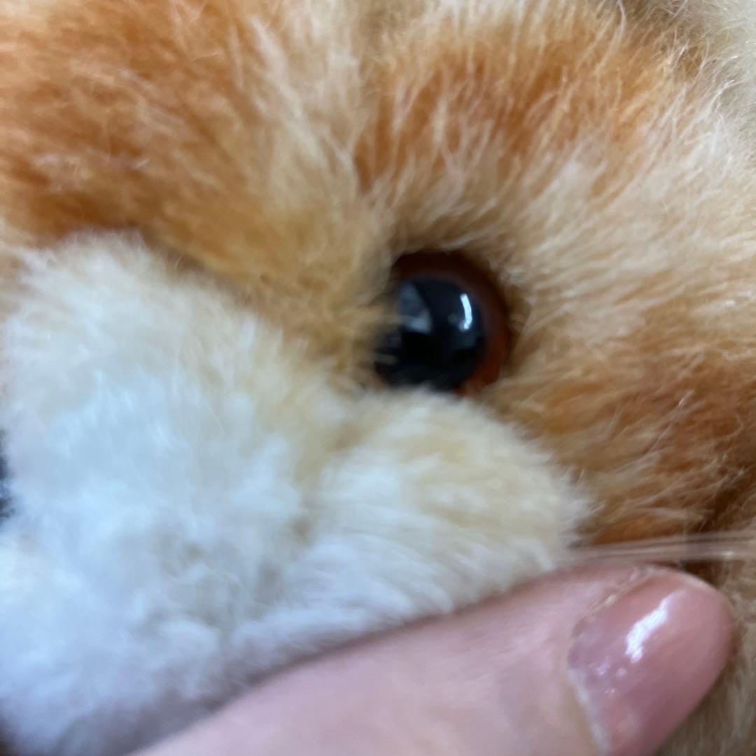 子猫物語 ぬいぐるみ