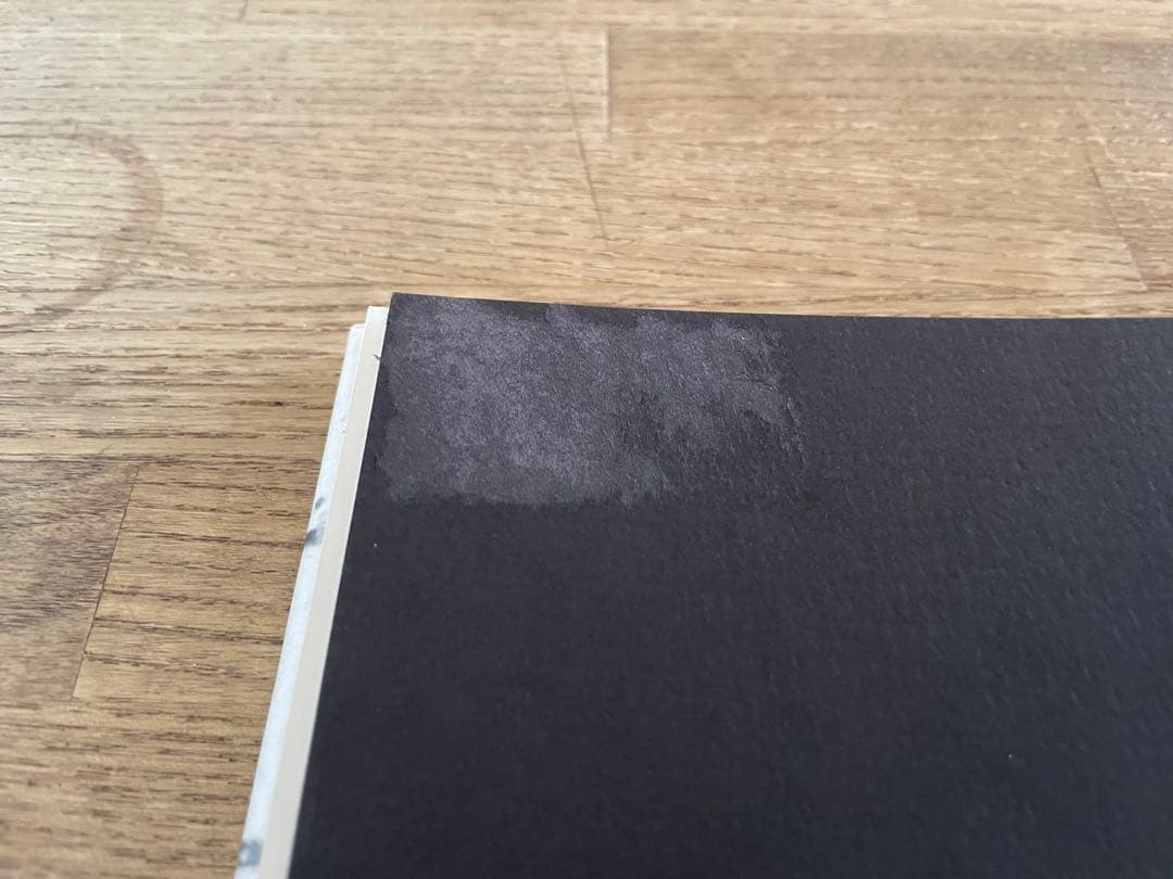 アート・デザイン・音楽 HANNAH WILKE A RETROSPECTIVE