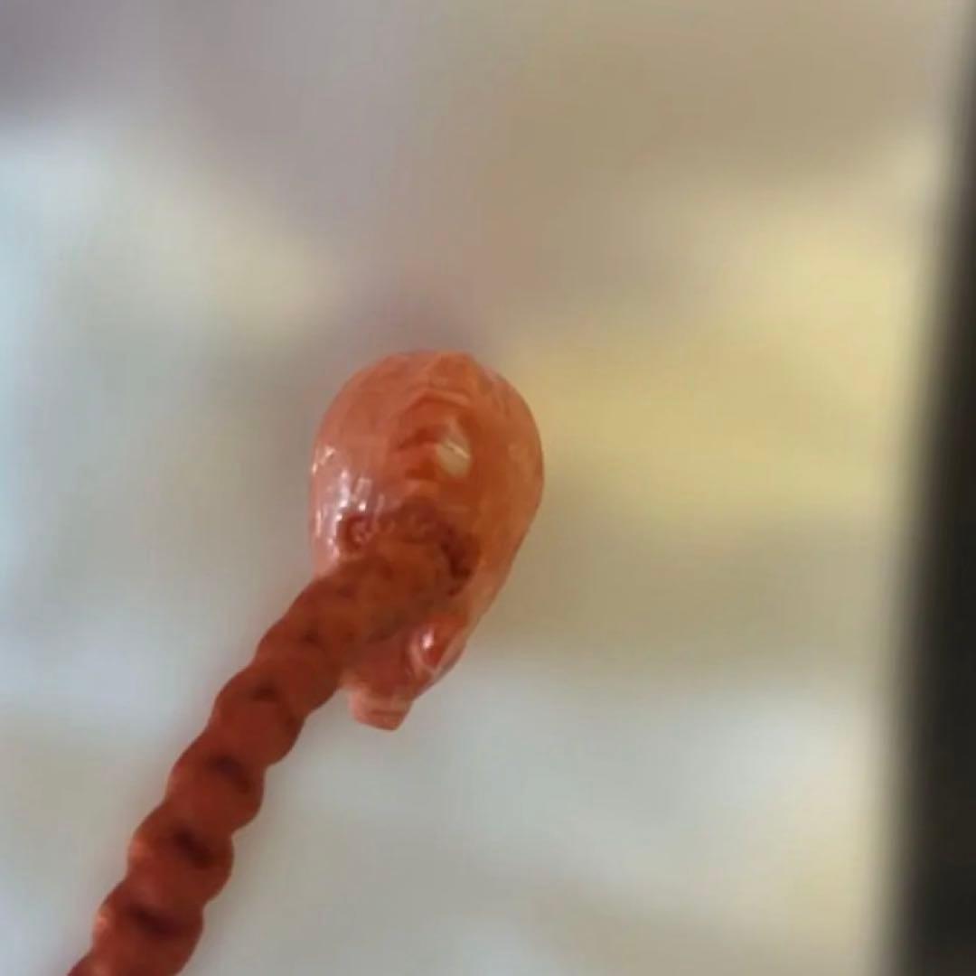 谷口康隆 作 猪 百貨店購入 根付 チャーム ストラップ 珊瑚 アクセサリー