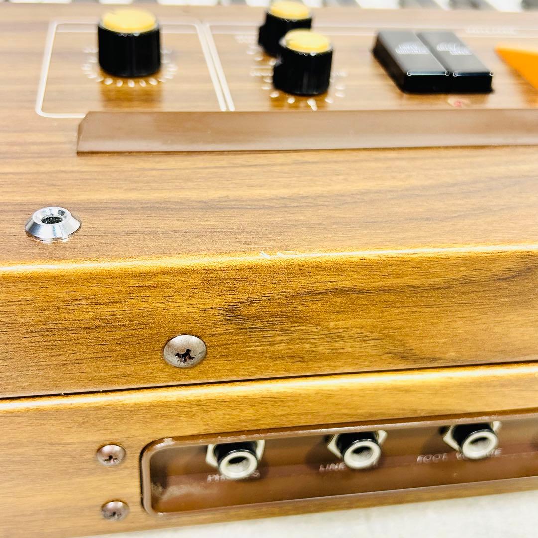 CASIO カシオCasiotone 301 シンセサイザー ハードケース