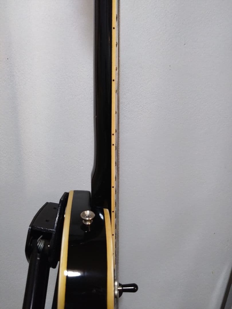 へ*ぺ様 Fresher フレッシャー レスポールカスタム ハードケース付