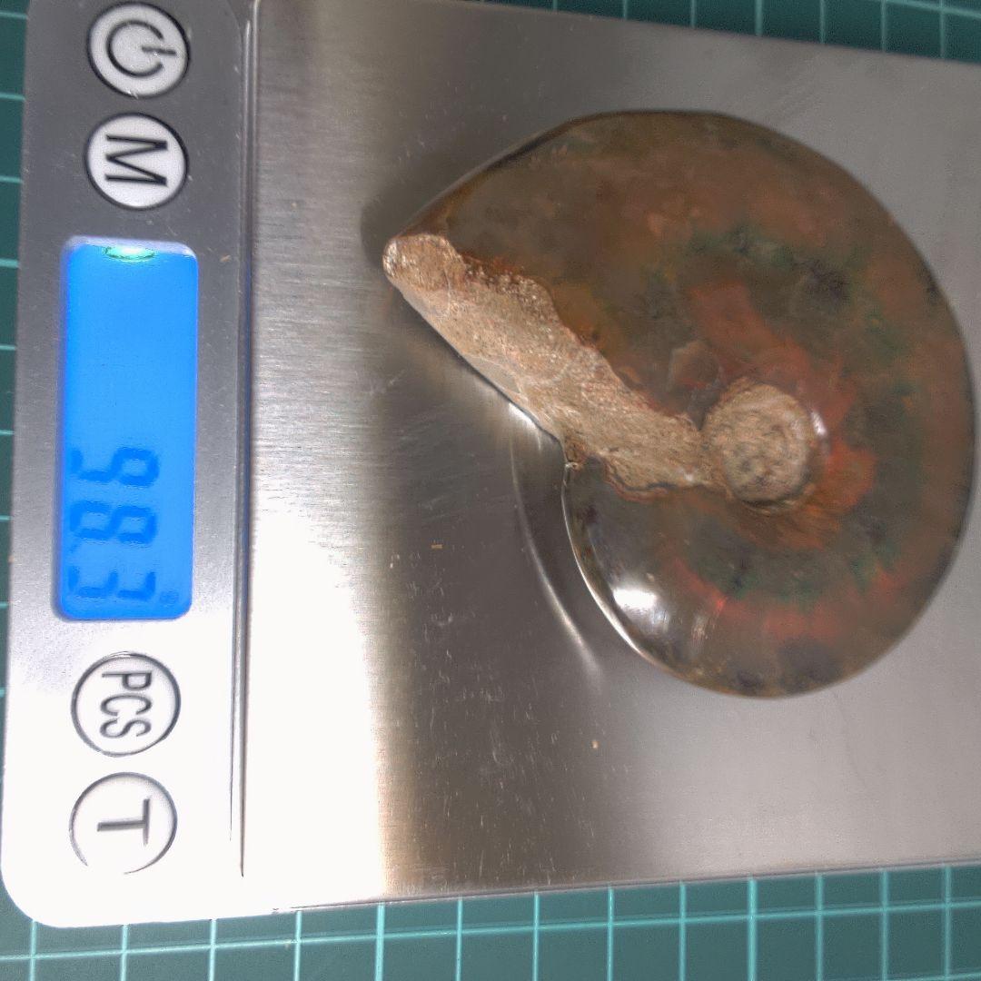 小物１ アンモナイト化石 赤褐色