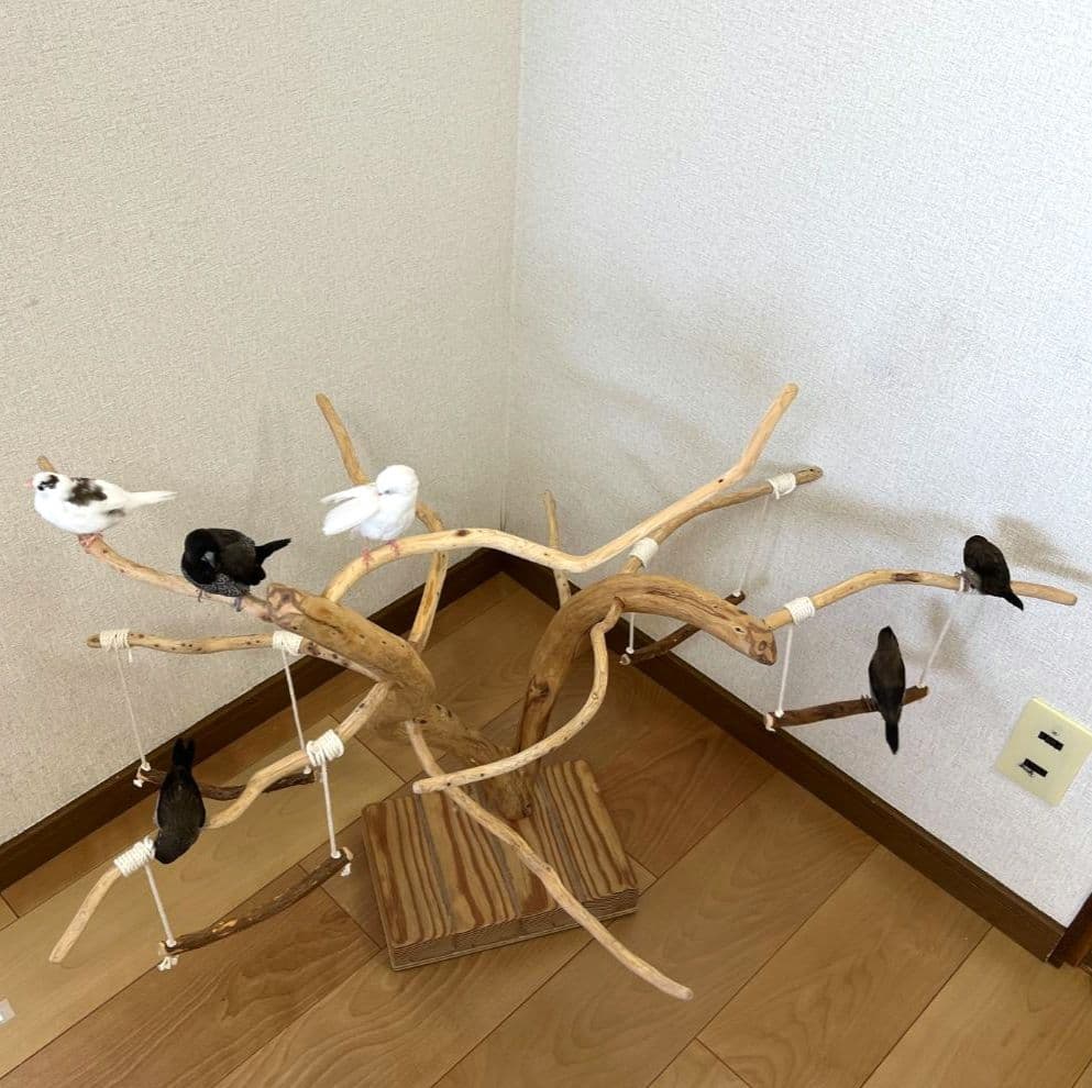 【小鳥用】ブランコ付くねくねバードアスレチック