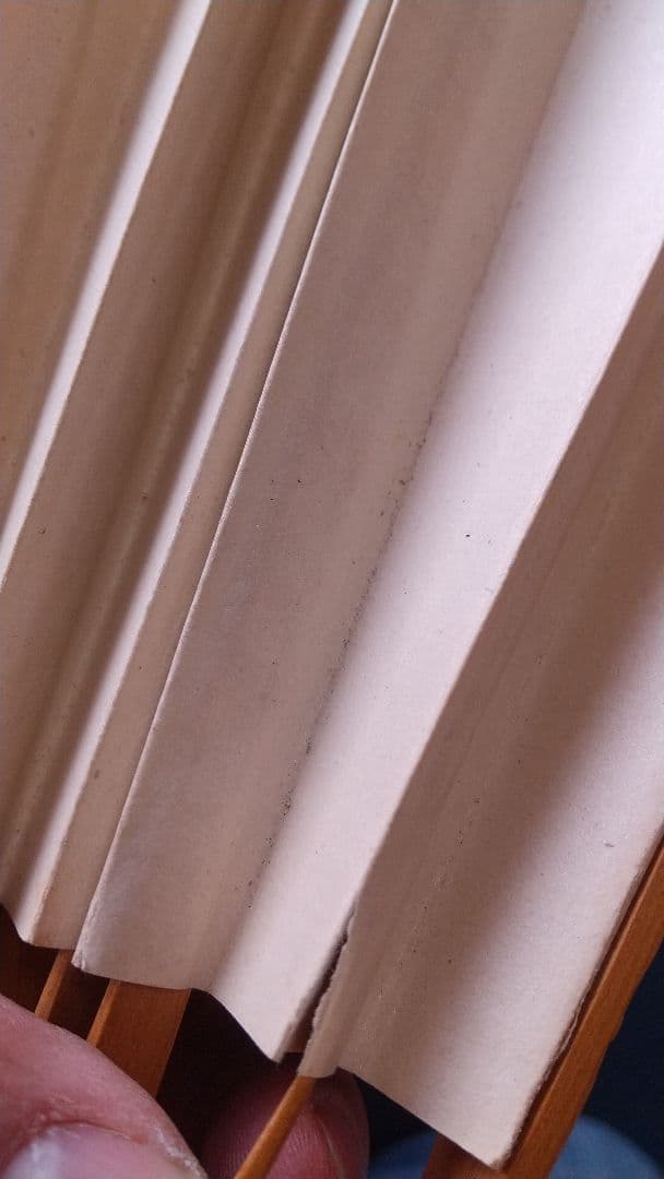 中国 子安刻 山水扇子 要破損 書画篆刻 頂布五層 舒蓮記監製？