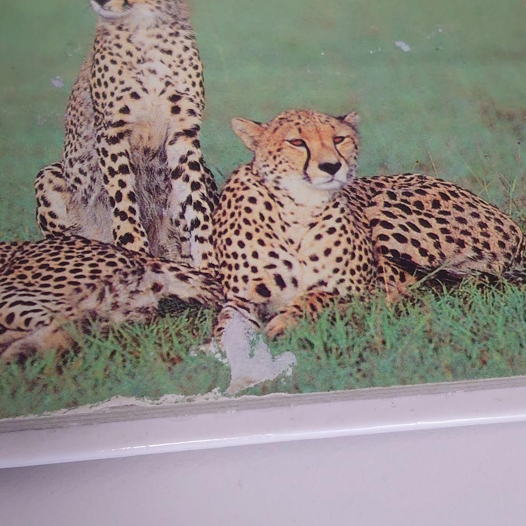 【42冊セット】絵本　まとめ売り　赤ちゃん　0歳　1歳　2歳