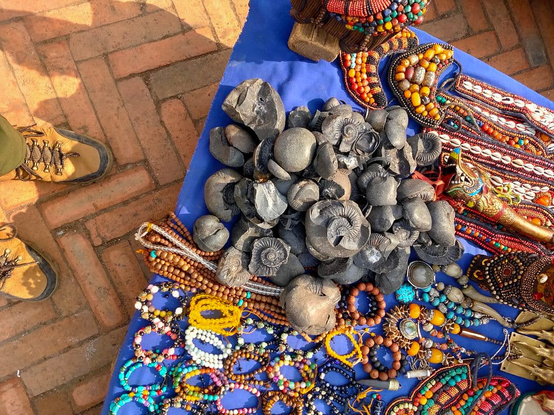 #671 黒いアンモナイト化石 上下セットネパール ヒマラヤ標高3800m