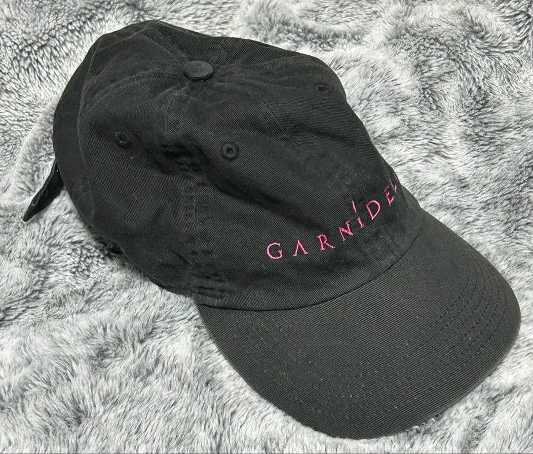 BIG ブロマイド ミニカード GARNiDELiA 美依礼芽 MARiA 他