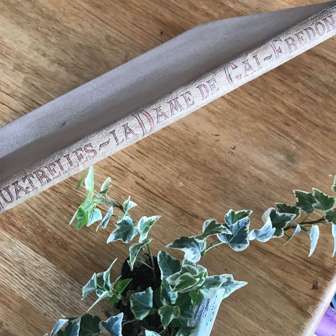 フランスアンティーク 19世紀の絵本！1884年アールヌーボー洋書 古書 古本