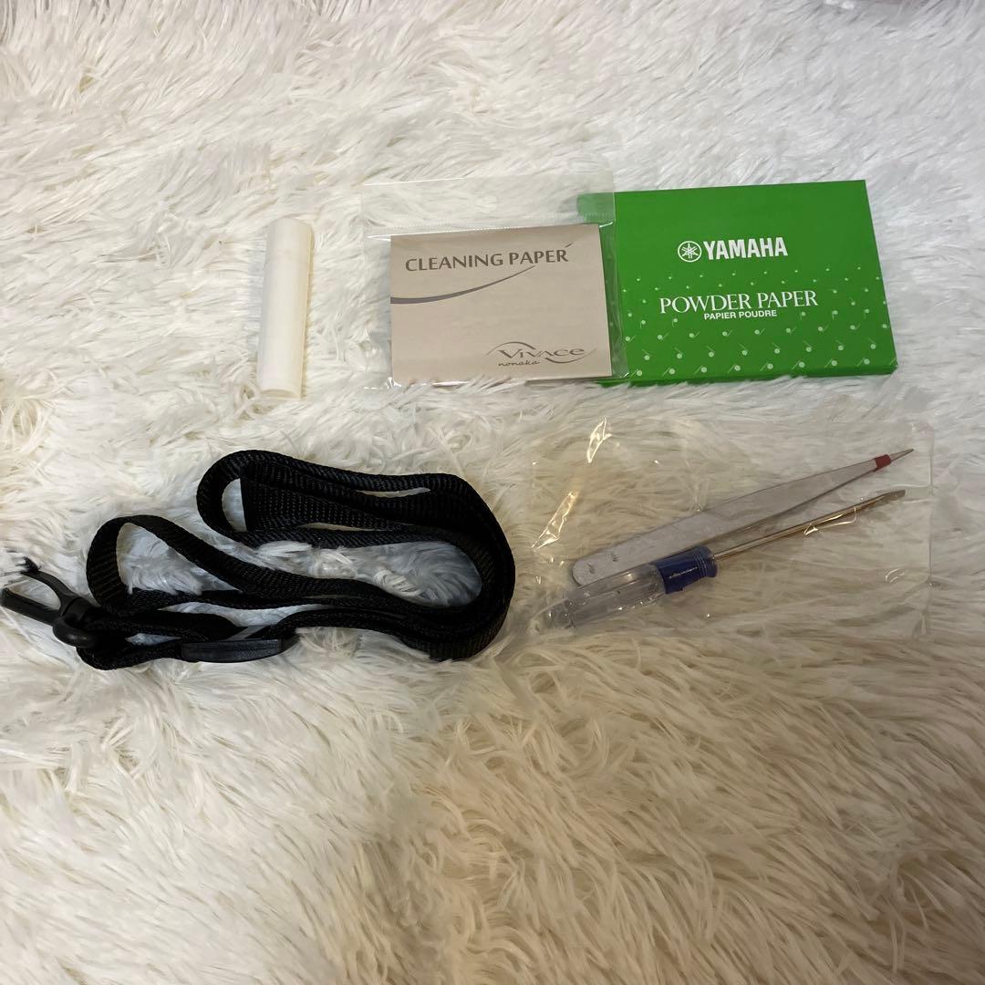 【限定品美品】Kaerntner ケルントナー アルトサックスメタリックブルー