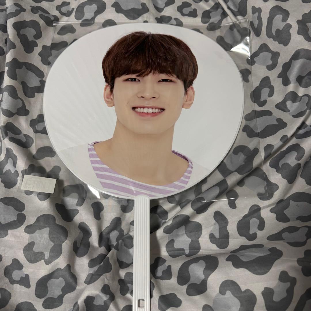 SEVENTEEN セブチ ウォヌ 団扇 うちわ 18本まとめ売り