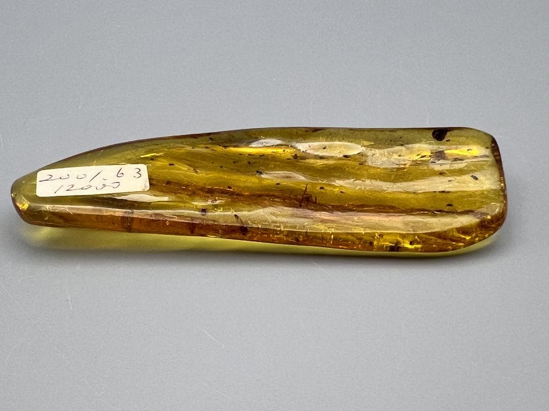 虫入り琥珀　蜘蛛　蚊　大量小さい虫内包　バルティックアンバー　バルト海沿岸地域産