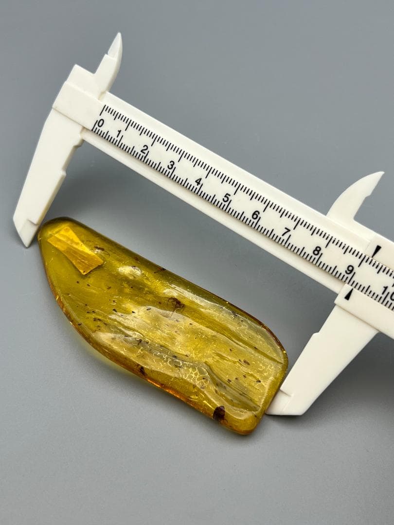 虫入り琥珀　蜘蛛　蚊　大量小さい虫内包　バルティックアンバー　バルト海沿岸地域産