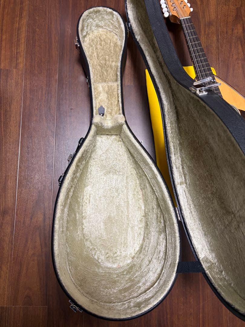 ✴︎超美品✴︎SUZUKIマスターハンド・マンドラ　MD-10 美品ハードケース付き