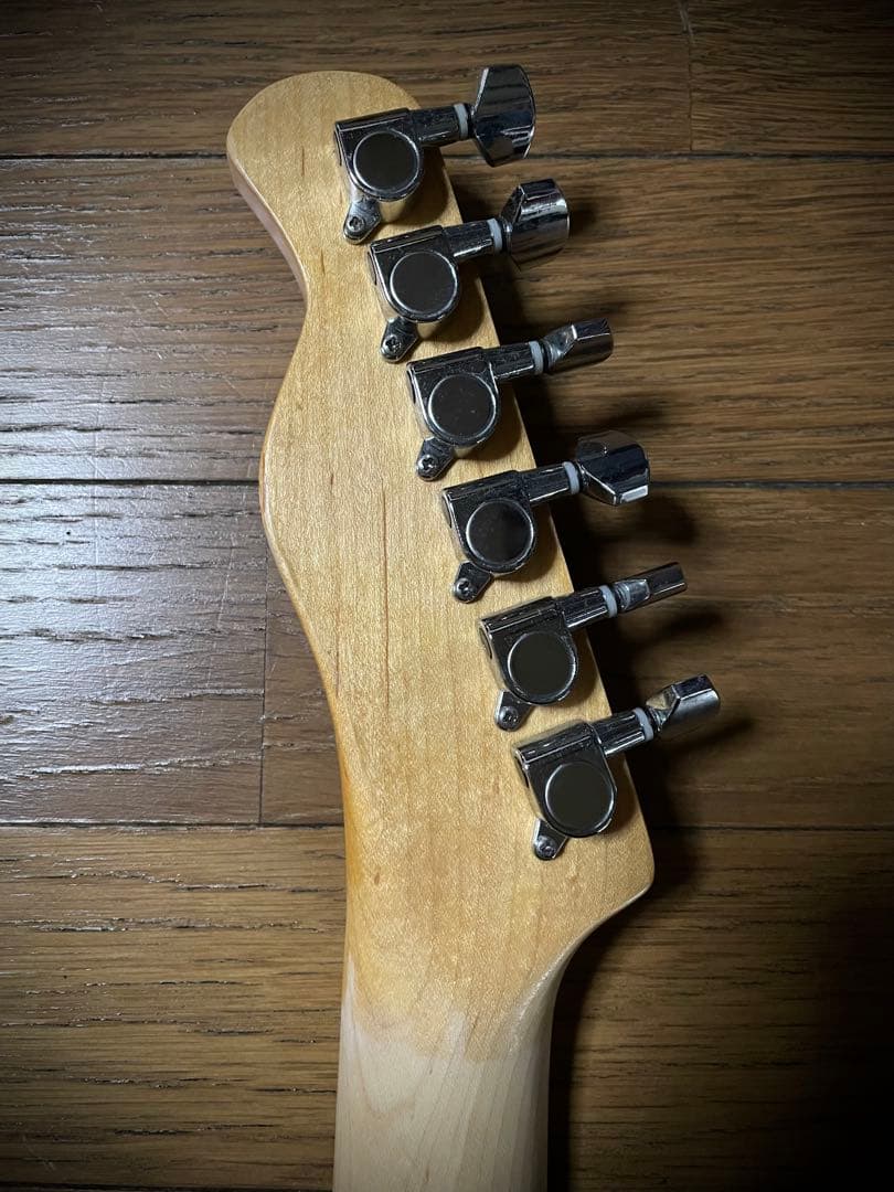 Bacchus バッカス　テレキャスター　THEMODS 森山達也