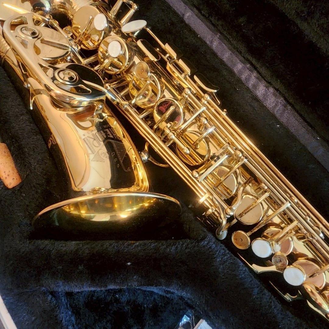 美品 トレバージェイムス アルトサックス ケース付