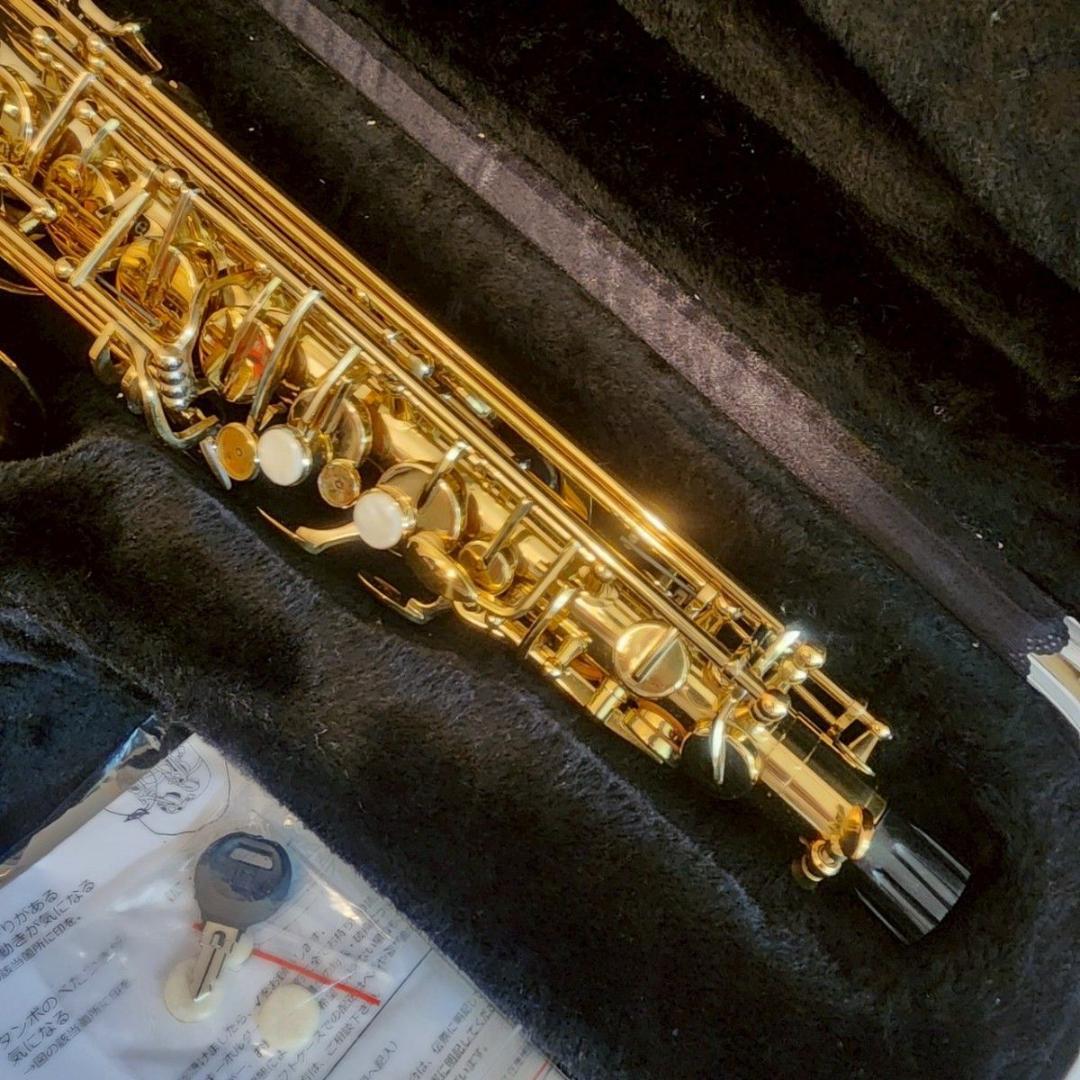 美品 トレバージェイムス アルトサックス ケース付