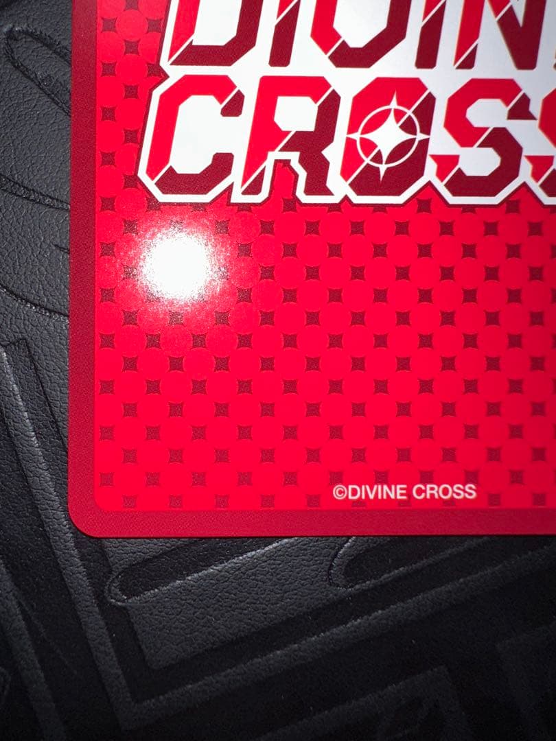 divine cross sec ビーチで海水浴　千羽　シリアル